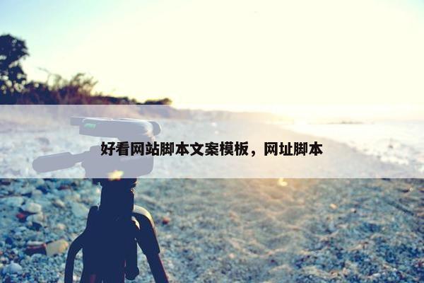 好看网站脚本文案模板，网址脚本