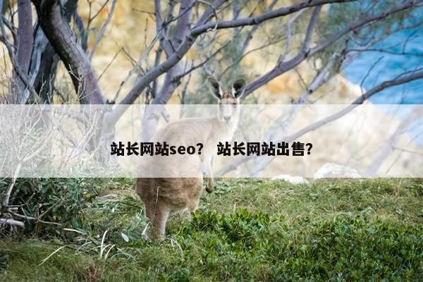 站长网站seo？ 站长网站出售？
