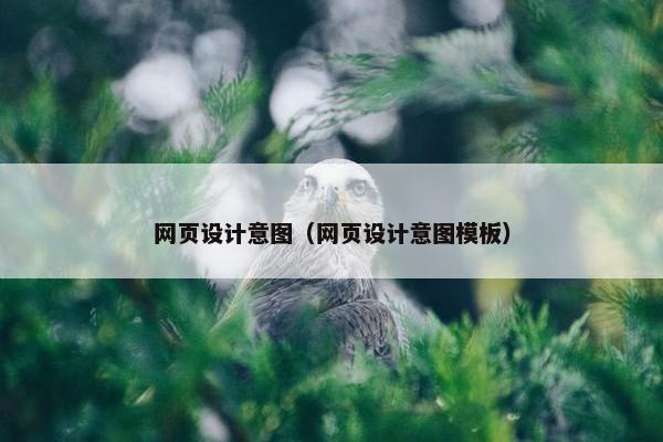 网页设计意图（网页设计意图模板）