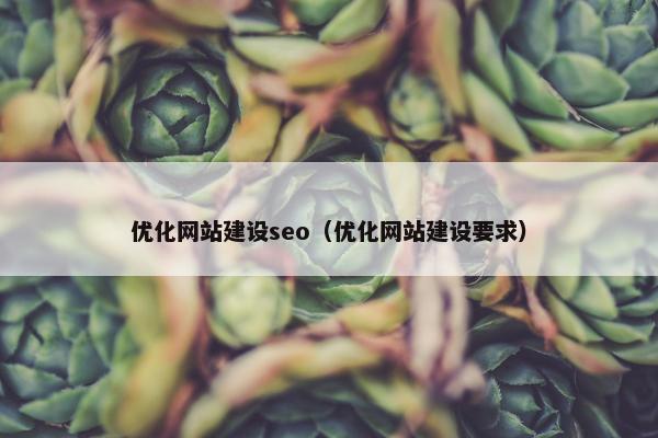 优化网站建设seo（优化网站建设要求）