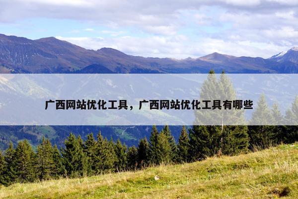 广西网站优化工具，广西网站优化工具有哪些