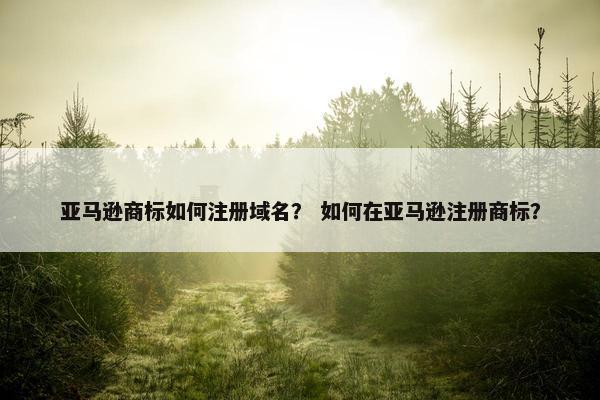 亚马逊商标如何注册域名？ 如何在亚马逊注册商标？