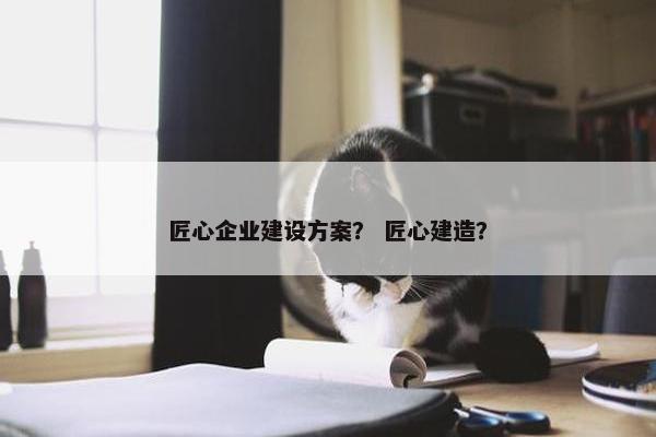 匠心企业建设方案？ 匠心建造？
