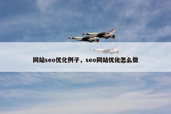 网站seo优化例子，seo网站优化怎么做