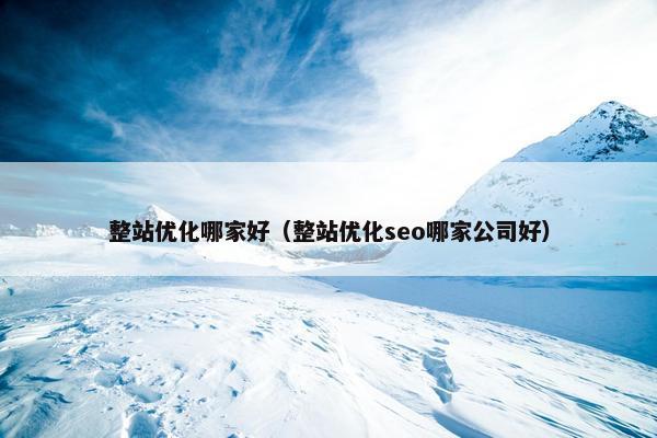 整站优化哪家好（整站优化seo哪家公司好）