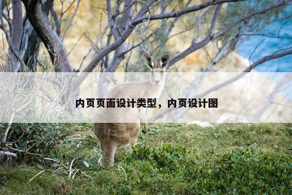 内页页面设计类型，内页设计图