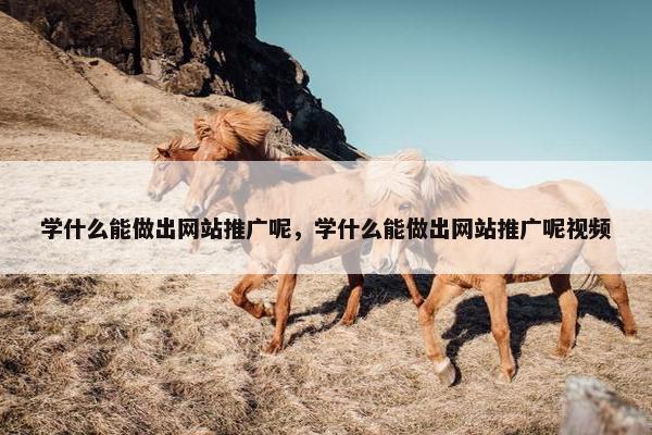学什么能做出网站推广呢，学什么能做出网站推广呢视频