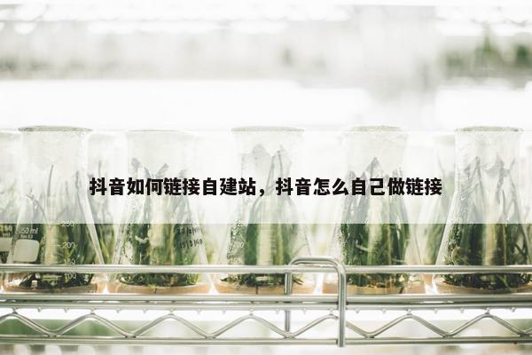 抖音如何链接自建站，抖音怎么自己做链接