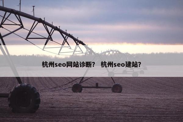 杭州seo网站诊断？ 杭州seo建站？
