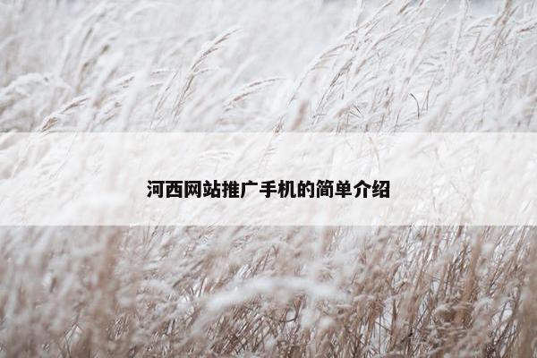 河西网站推广手机的简单介绍