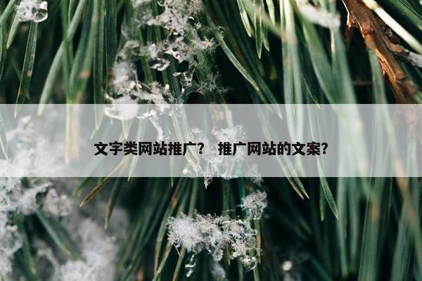 文字类网站推广？ 推广网站的文案？