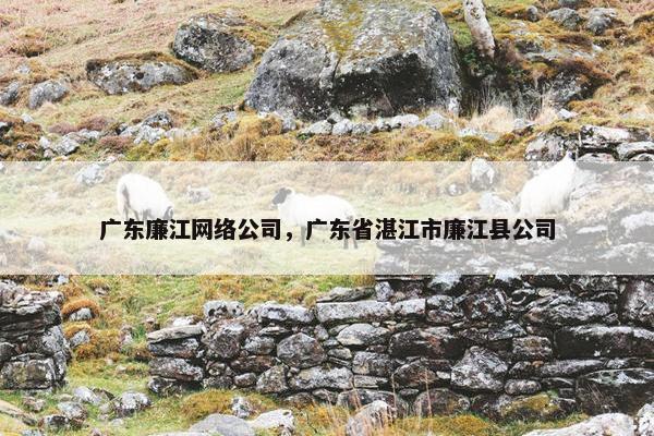 广东廉江网络公司，广东省湛江市廉江县公司