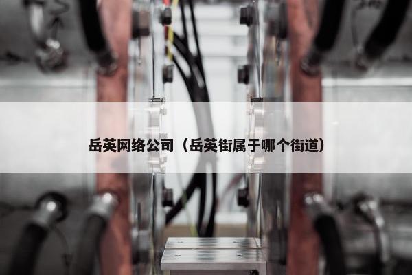 岳英网络公司（岳英街属于哪个街道）