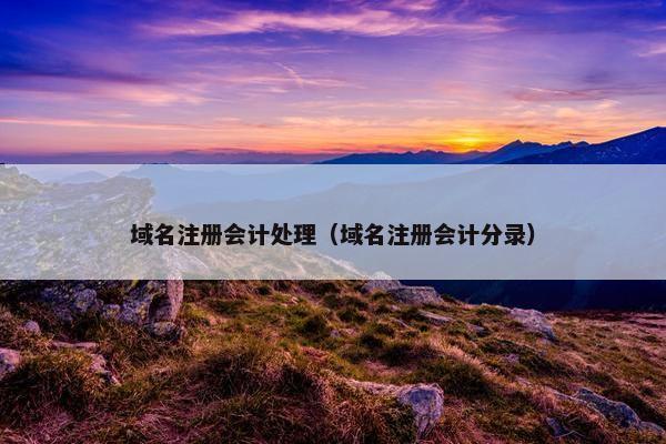 域名注册会计处理（域名注册会计分录）