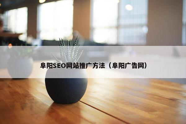 阜阳SEO网站推广方法（阜阳广告网）