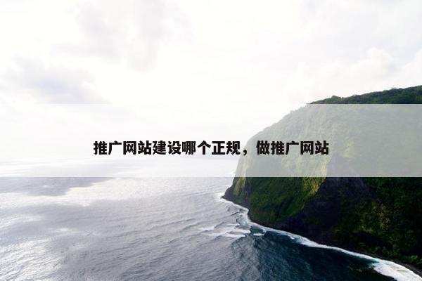 推广网站建设哪个正规，做推广网站