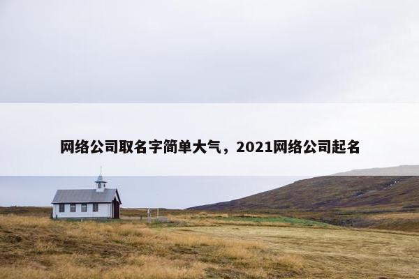 网络公司取名字简单大气，2021网络公司起名