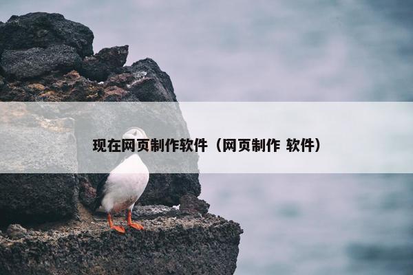 现在网页制作软件（网页制作 软件）
