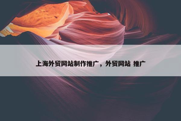 上海外贸网站制作推广，外贸网站 推广