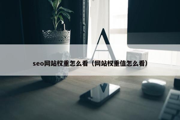 seo网站权重怎么看（网站权重值怎么看）