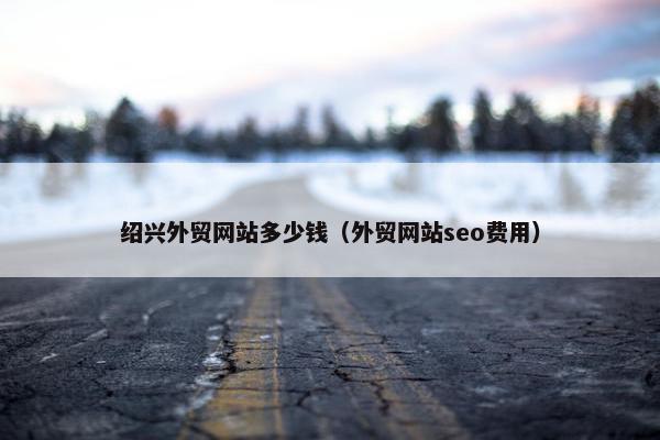绍兴外贸网站多少钱（外贸网站seo费用）