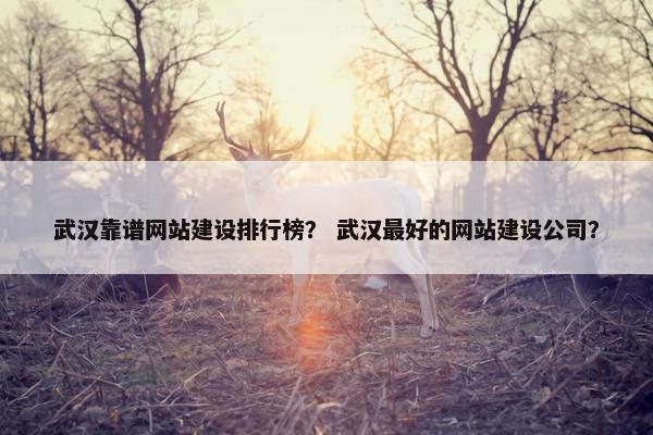 武汉靠谱网站建设排行榜？ 武汉最好的网站建设公司？