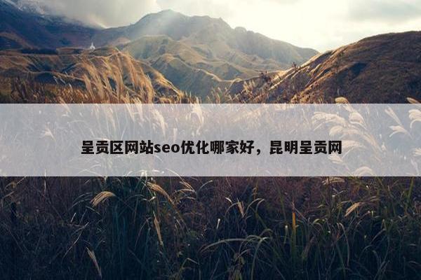 呈贡区网站seo优化哪家好，昆明呈贡网