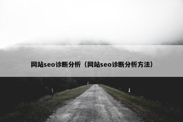 网站seo诊断分析（网站seo诊断分析方法）