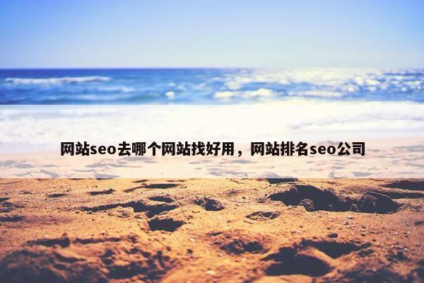 网站seo去哪个网站找好用，网站排名seo公司