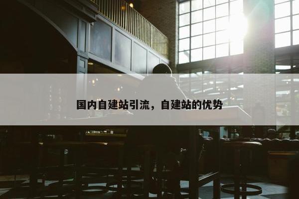 国内自建站引流，自建站的优势