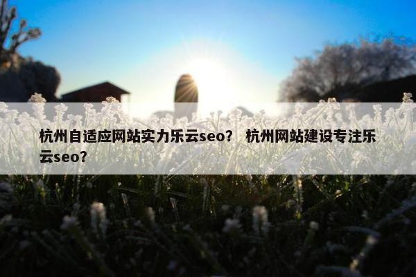 杭州自适应网站实力乐云seo？ 杭州网站建设专注乐云seo？