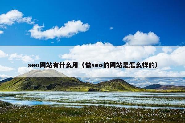 seo网站有什么用（做seo的网站是怎么样的）