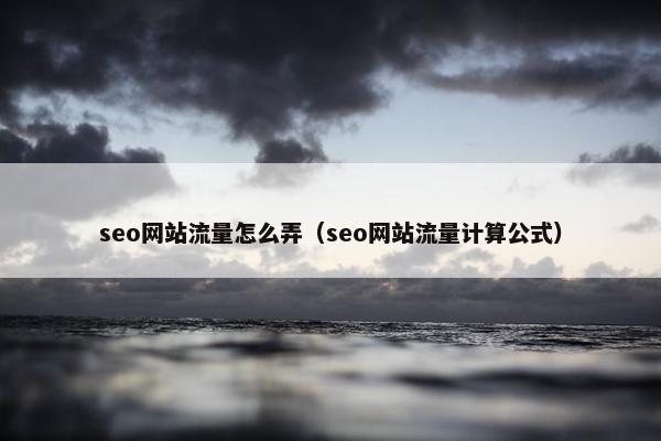 seo网站流量怎么弄（seo网站流量计算公式）