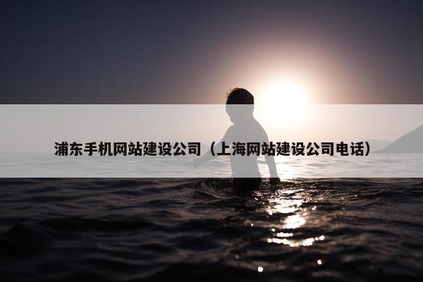 浦东手机网站建设公司（上海网站建设公司电话）
