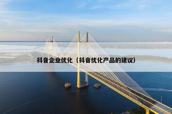 抖音企业优化（抖音优化产品的建议）