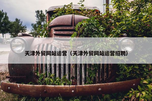 天津外贸网站运营（天津外贸网站运营招聘）