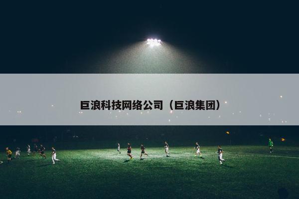 巨浪科技网络公司（巨浪集团）