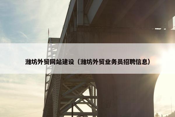 潍坊外贸网站建设（潍坊外贸业务员招聘信息）
