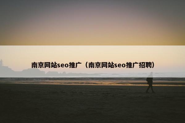 南京网站seo推广（南京网站seo推广招聘）