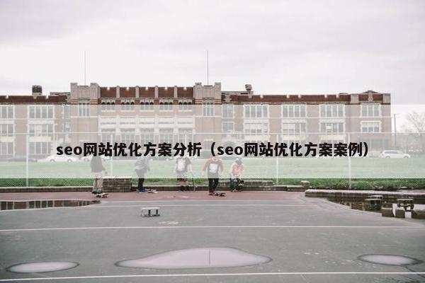 seo网站优化方案分析（seo网站优化方案案例）