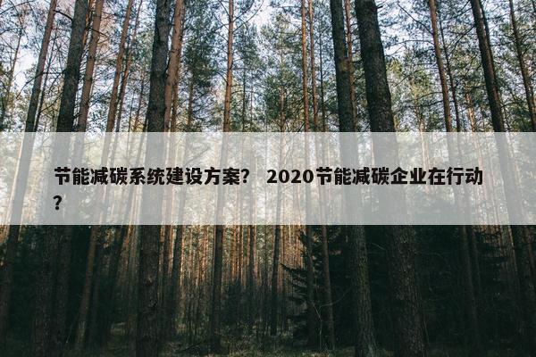 节能减碳系统建设方案？ 2020节能减碳企业在行动？