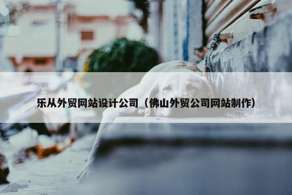 乐从外贸网站设计公司（佛山外贸公司网站制作）