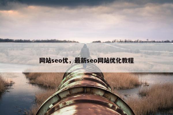 网站seo优，最新seo网站优化教程