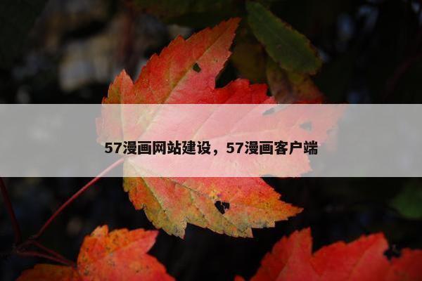 57漫画网站建设，57漫画客户端