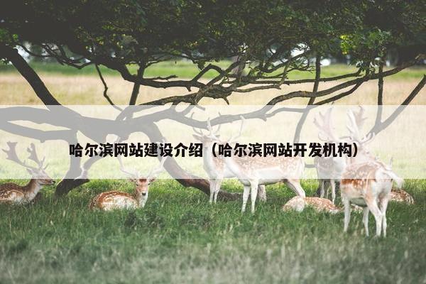 哈尔滨网站建设介绍（哈尔滨网站开发机构）
