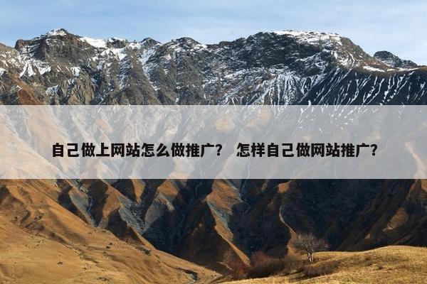 自己做上网站怎么做推广？ 怎样自己做网站推广？