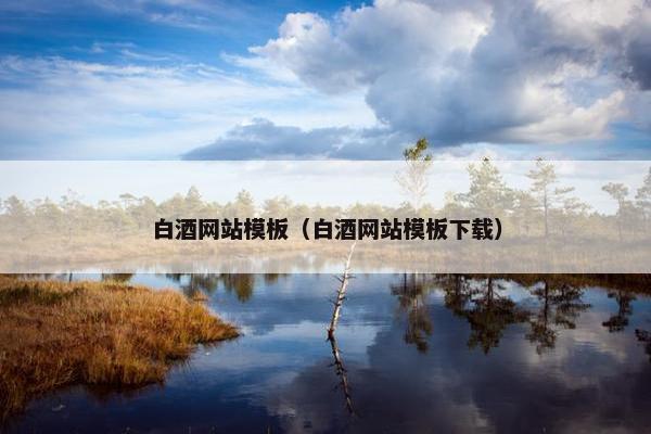 白酒网站模板（白酒网站模板下载）