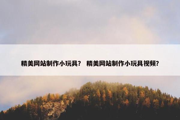 精美网站制作小玩具？ 精美网站制作小玩具视频？