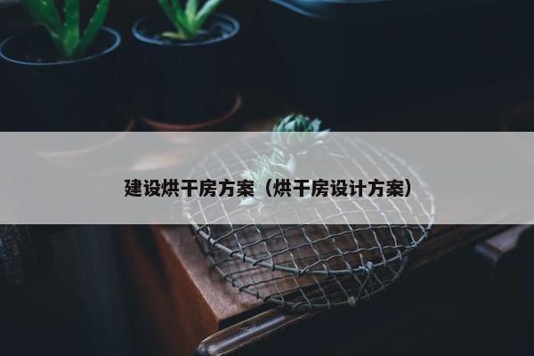 建设烘干房方案（烘干房设计方案）
