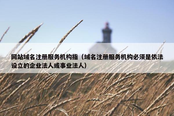 网站域名注册服务机构指（域名注册服务机构必须是依法设立的企业法人或事业法人）
